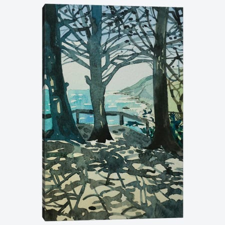 Ragged Point Big Sur Canvas Print #LSM190} by Luisa Millicent Canvas Print