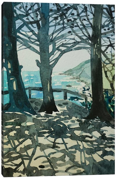 Ragged Point Big Sur Canvas Art Print - Luisa Millicent