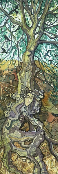 Intricate Watercolors: Oak Lady Of Lake Vista by Luisa Millicent