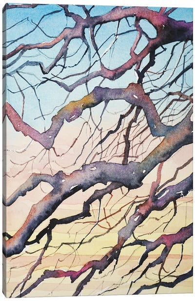 Sunset Branches Canvas Art Print - Luisa Millicent