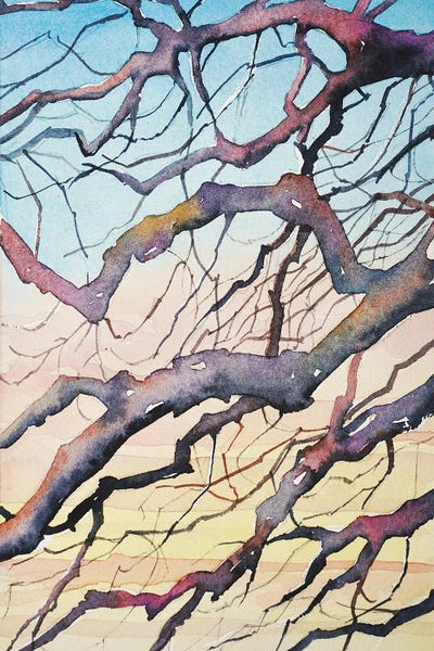 Luisa Millicent: Sunset Branches by Luisa Millicent