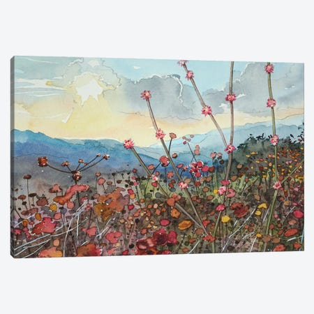Winter In Tuna Canyon Canvas Print #LSM200} by Luisa Millicent Canvas Print