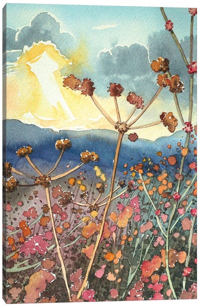 Winter Seed Heads In Tuna Canyon Canvas Art Print - California Art