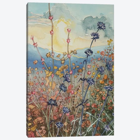 Tuna Canyon Flowers At Sunset Canvas Print #LSM202} by Luisa Millicent Art Print