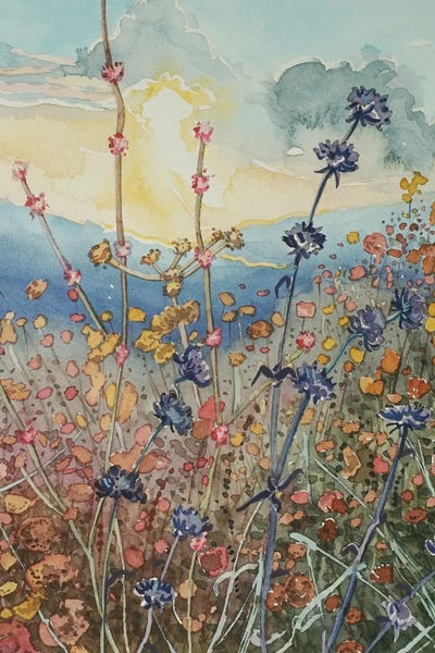 Luisa Millicent: Tuna Canyon Flowers At Sunset by Luisa Millicent