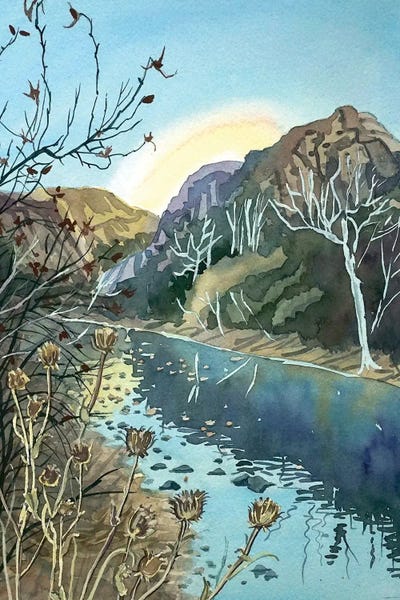 Winter Afternoon Malibu Canyon by Luisa Millicent gallery poster