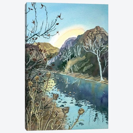 Winter Afternoon Malibu Canyon Canvas Print #LSM205} by Luisa Millicent Canvas Wall Art