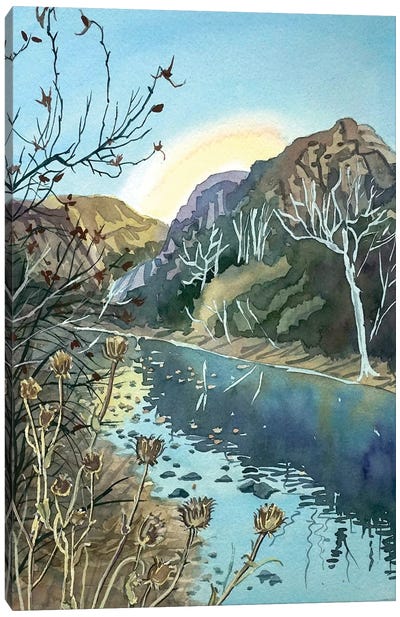 Winter Afternoon Malibu Canyon Canvas Art Print - Luisa Millicent