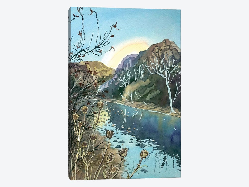 Winter Afternoon Malibu Canyon by Luisa Millicent 1-piece Canvas Print