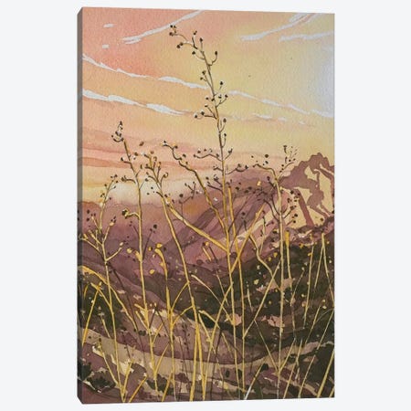 Golden Canyon Light Canvas Print #LSM206} by Luisa Millicent Canvas Wall Art