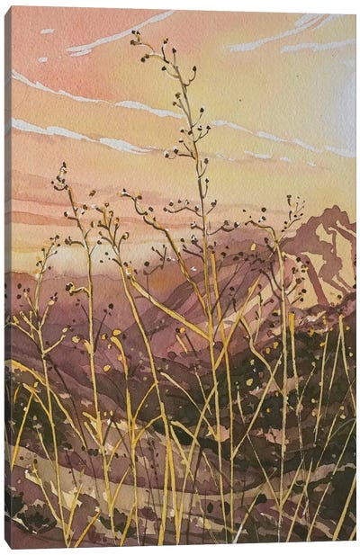 Golden Canyon Light Canvas Art Print - Luisa Millicent
