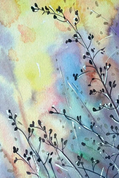 Grasses In The Sunset