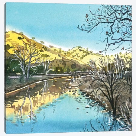 Malibu Creek Reflections Canvas Print #LSM210} by Luisa Millicent Canvas Artwork