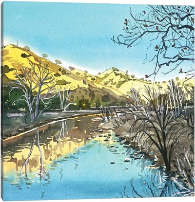Malibu Creek Reflections Canvas Art Print - Luisa Millicent