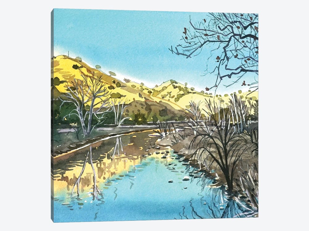 Malibu Creek Reflections by Luisa Millicent 1-piece Canvas Art Print