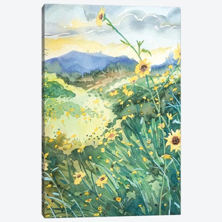 Topanga Spring Canvas Print #LSM211} by Luisa Millicent Canvas Art