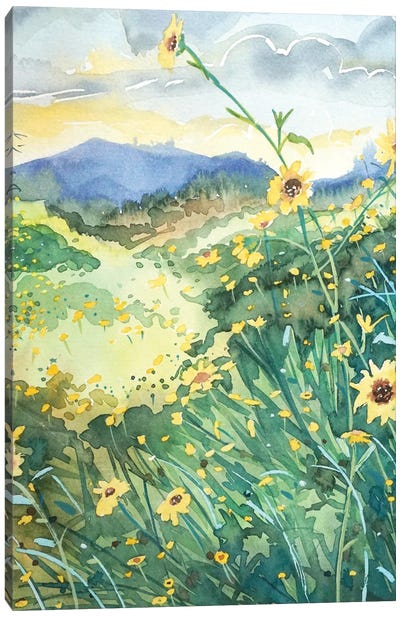 Topanga Spring Canvas Art Print - Luisa Millicent