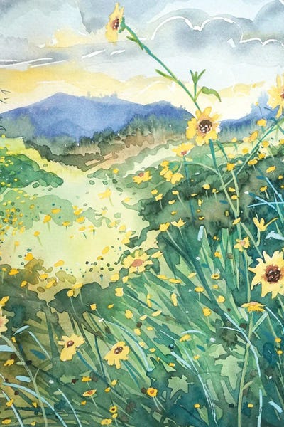 Sunflowers: Topanga Spring by Luisa Millicent