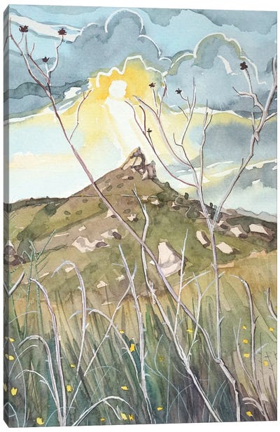 Rocky Oaks Spring Canvas Art Print - Luisa Millicent