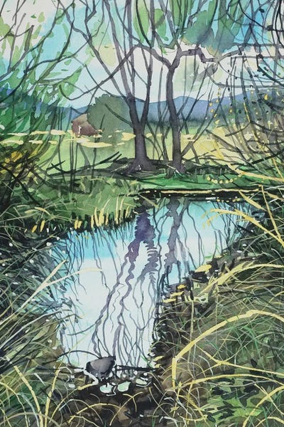 Still Water In Medea Creek by Luisa Millicent canvas print