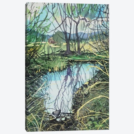 Still Water In Medea Creek Canvas Print #LSM215} by Luisa Millicent Canvas Print