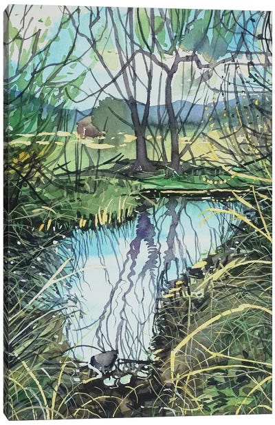 Still Water In Medea Creek Canvas Art Print - Luisa Millicent
