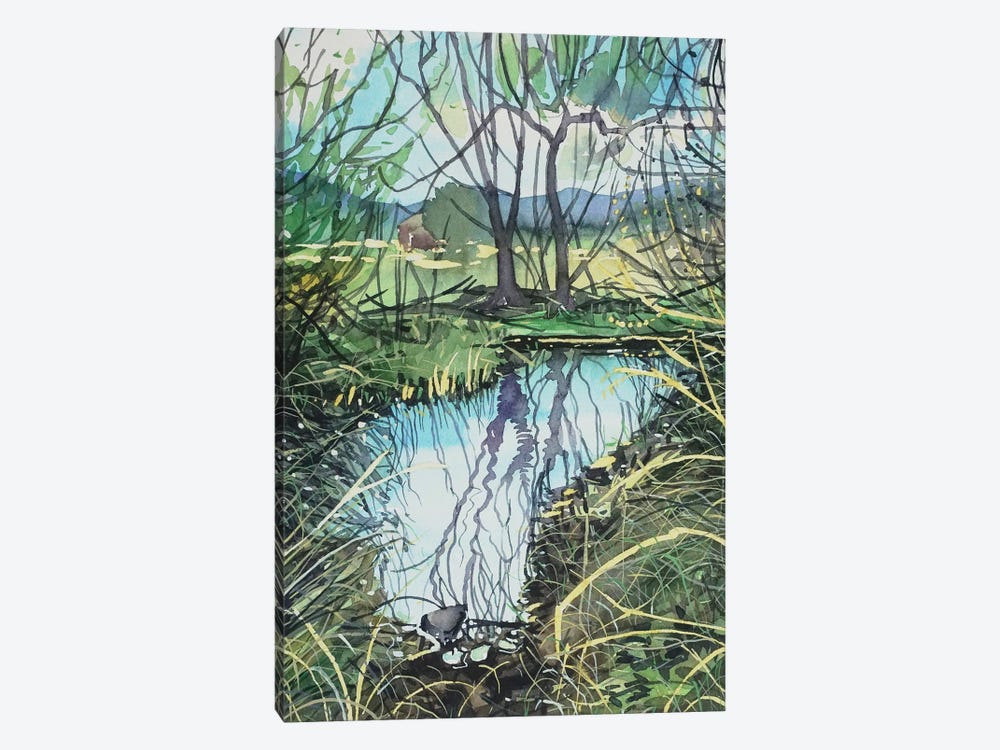 Still Water In Medea Creek by Luisa Millicent 1-piece Canvas Art