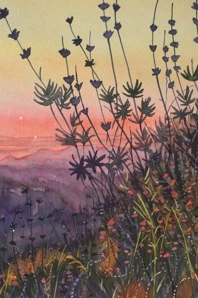 Warm Topanga Sunset by Luisa Millicent acrylic art print