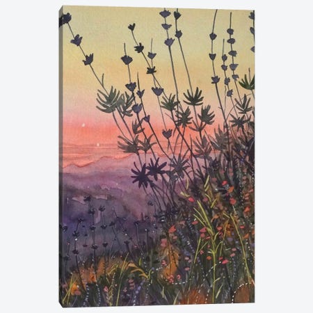 Warm Topanga Sunset Canvas Print #LSM225} by Luisa Millicent Canvas Art