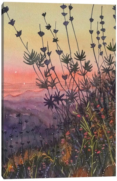 Warm Topanga Sunset Canvas Art Print - Luisa Millicent