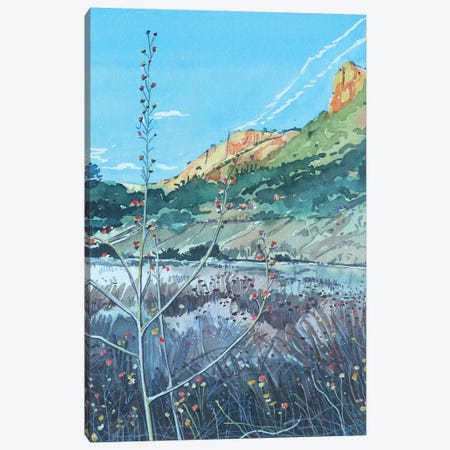 Malibu Creek Whispering Grasses Canvas Print #LSM228} by Luisa Millicent Canvas Print