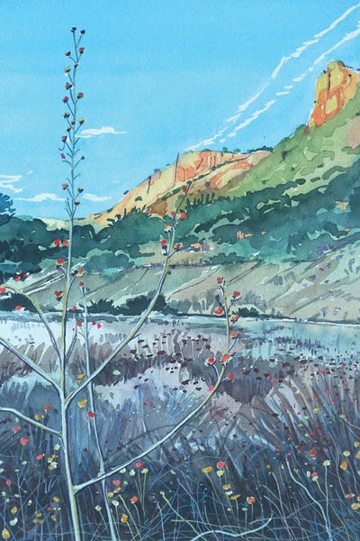 Malibu Creek Whispering Grasses