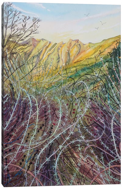 Autumn Tangle Topanga Canvas Art Print - Luisa Millicent