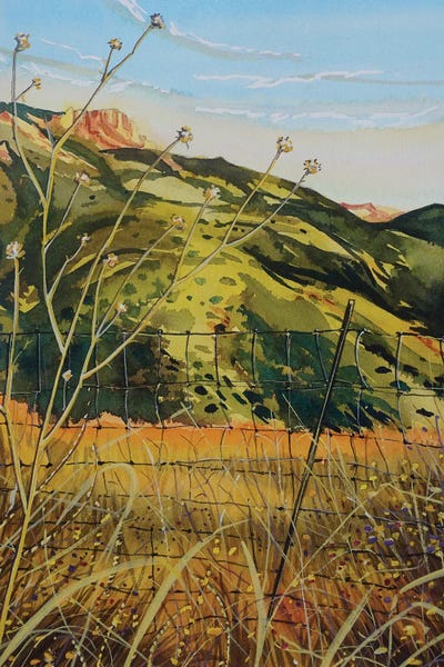 Golden Light Point Mugu State Park by Luisa Millicent canvas print