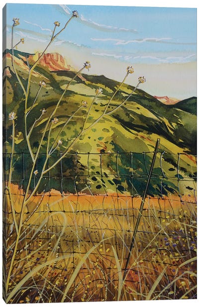 Golden Light Point Mugu State Park Canvas Art Print - Luisa Millicent