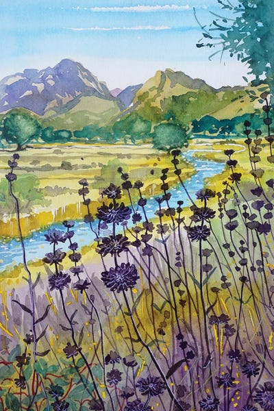 Malibu: Warm Afternoon Malibu Creek by Luisa Millicent