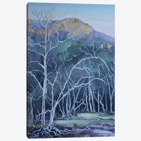 Ghost Trees Peter Strauss Ranch Canvas Print #LSM239} by Luisa Millicent Canvas Artwork