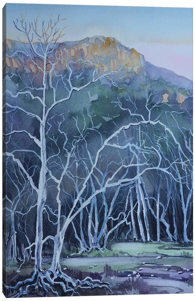 Ghost Trees Peter Strauss Ranch Canvas Art Print - Luisa Millicent
