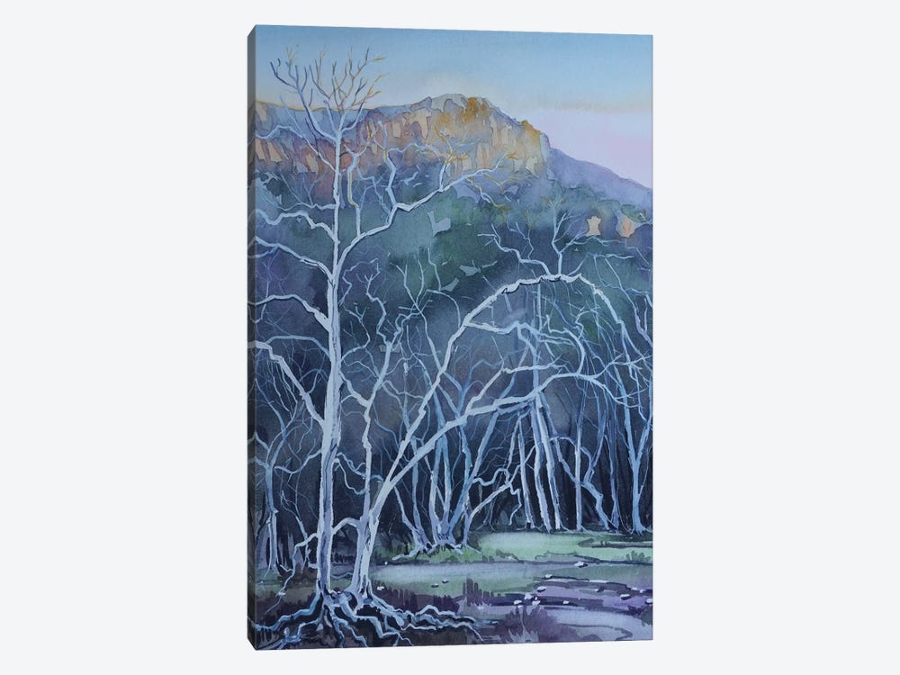 Ghost Trees Peter Strauss Ranch by Luisa Millicent 1-piece Canvas Wall Art