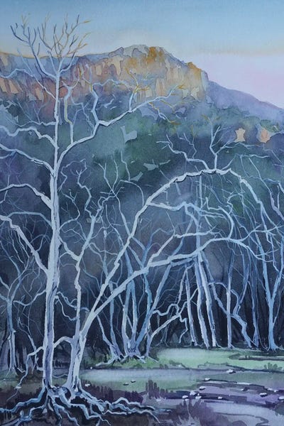 Luisa Millicent: Ghost Trees Peter Strauss Ranch by Luisa Millicent