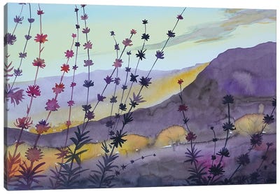 Golden Glow Sugarloaf Mountain Canvas Art Print - Luisa Millicent