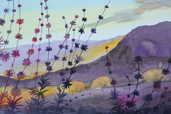 Maine: Golden Glow Sugarloaf Mountain by Luisa Millicent