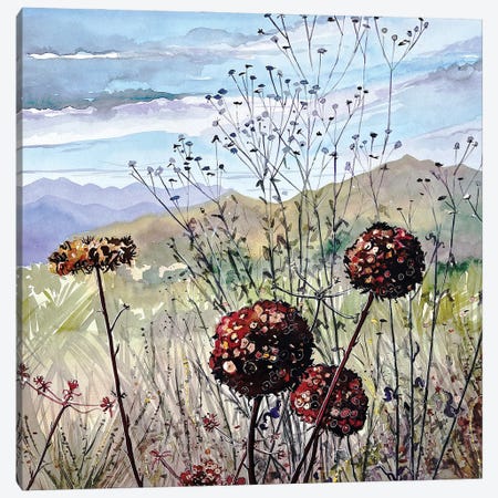 November Buckwheat - Las Virgenes Valley Canvas Print #LSM245} by Luisa Millicent Canvas Art