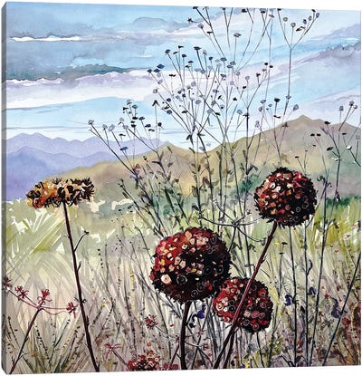 November Buckwheat - Las Virgenes Valley Canvas Art Print - Valley Art