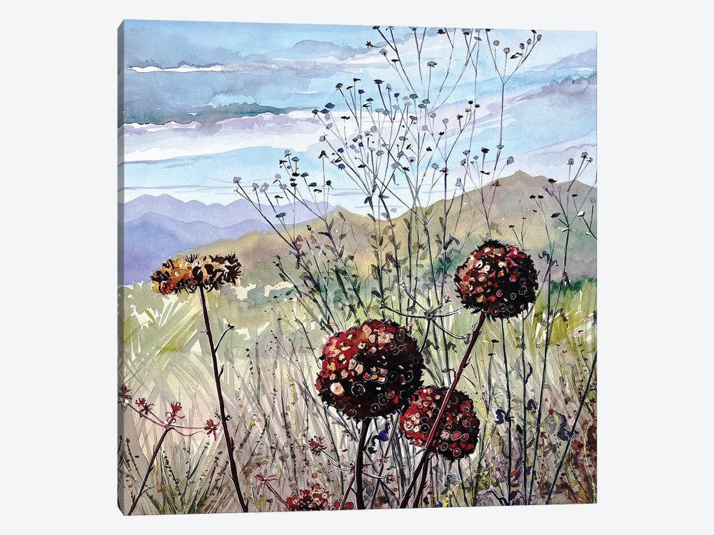November Buckwheat - Las Virgenes Valley by Luisa Millicent 1-piece Canvas Art Print