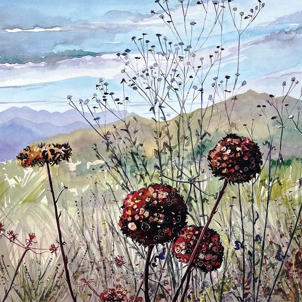 Luisa Millicent: November Buckwheat - Las Virgenes Valley by Luisa Millicent