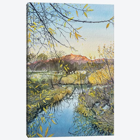 Lady Face And Medea Creek Winters Afternoon Canvas Print #LSM246} by Luisa Millicent Canvas Wall Art