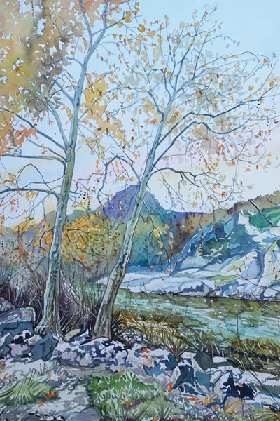 Twin Sycamores By The Dam by Luisa Millicent acrylic art print