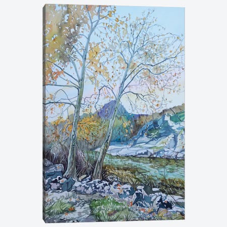 Twin Sycamores By The Dam Canvas Print #LSM249} by Luisa Millicent Art Print