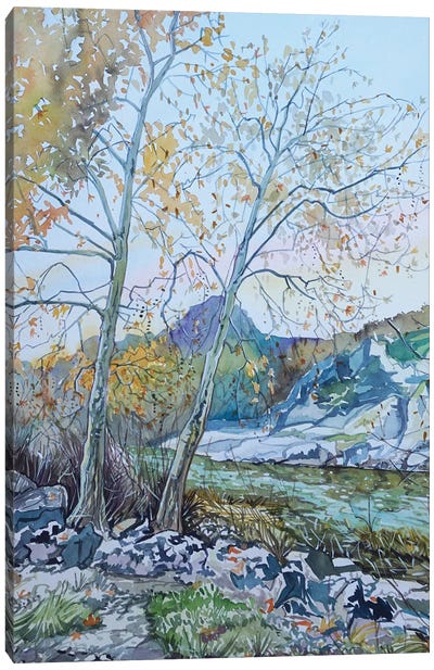 Twin Sycamores By The Dam Canvas Art Print - Luisa Millicent